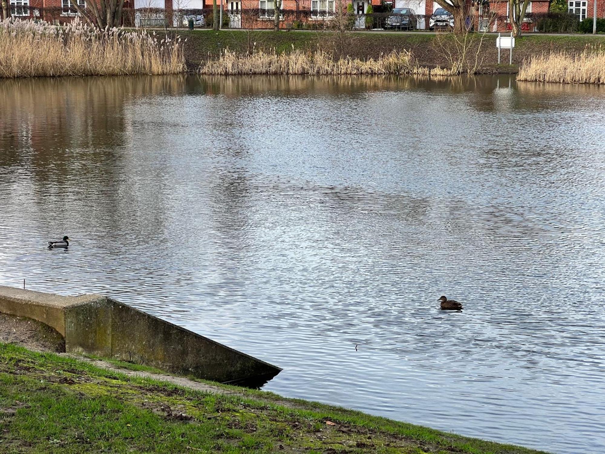 San Pedro Lodge Sittingbourne سيتينغبورن المظهر الخارجي الصورة